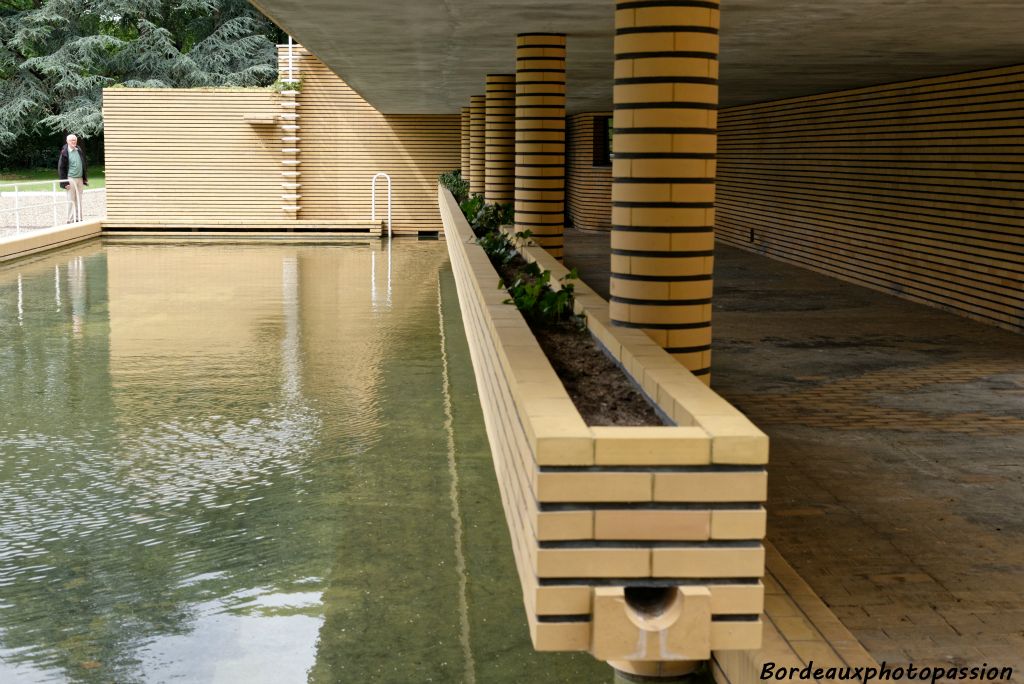 Décoration de verdure pour donner l'illusion de nager dans la nature.